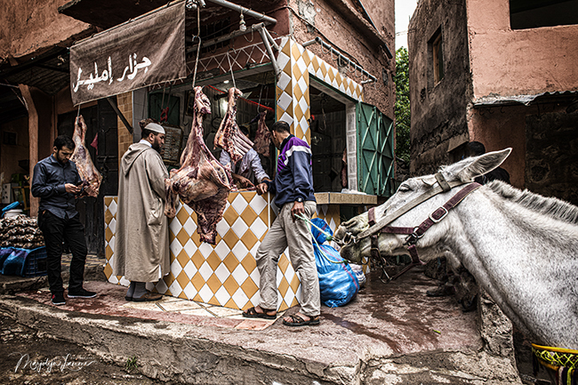Travel photography Morocco