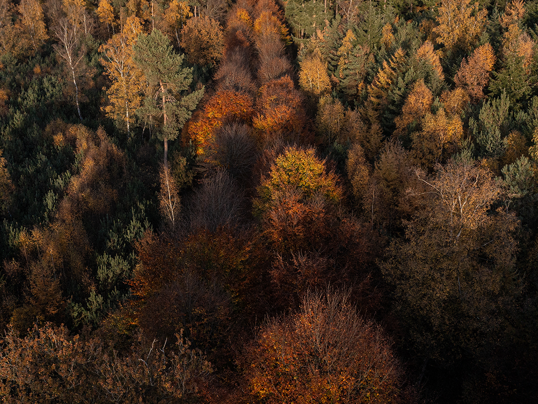 Nationaal Park De Hoge Veluwe Nationaal Park De Hoge Veluwe
